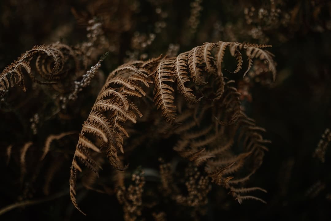 治好感100%，《绚烂的她》主创举行家庭聚会！
